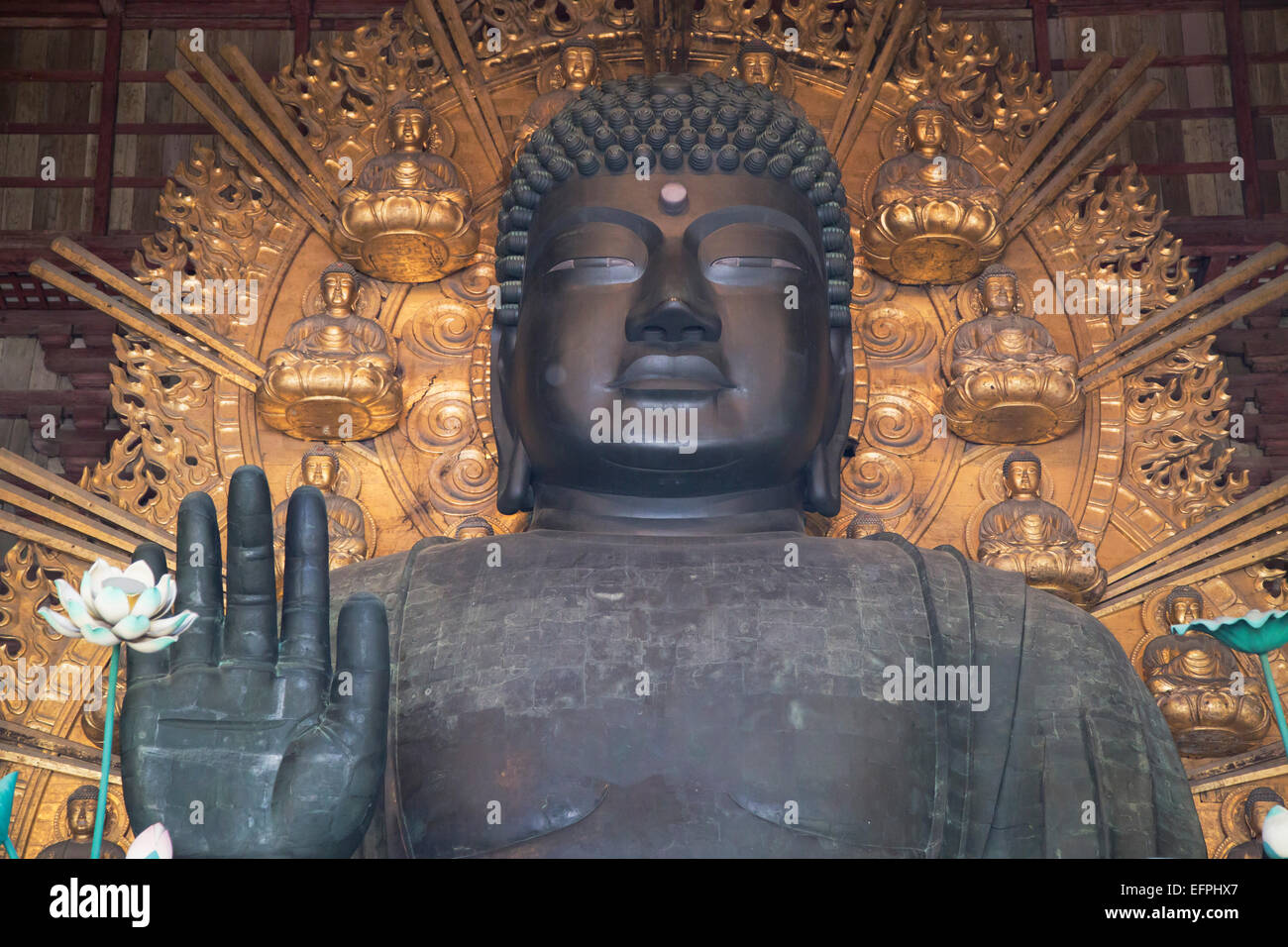 Il Daibutsu (Grande Buddha) dentro il Tempio Todaiji, Sito Patrimonio Mondiale dell'UNESCO, Nara, Kansai, Giappone, Asia Foto Stock