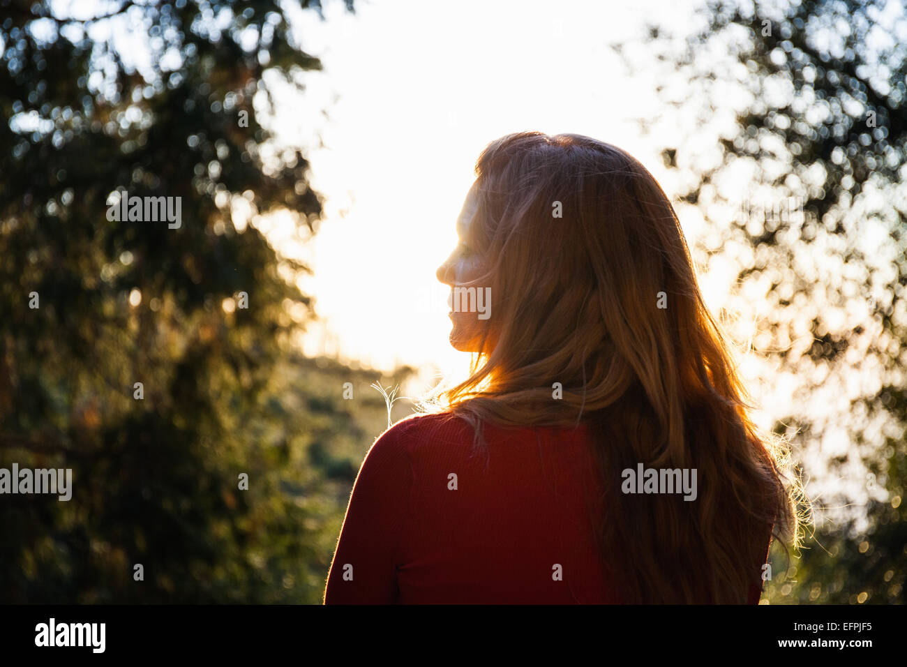 Vista posteriore della metà donna adulta guardando sopra la foresta di montagna al tramonto, Palomar, CALIFORNIA, STATI UNITI D'AMERICA Foto Stock