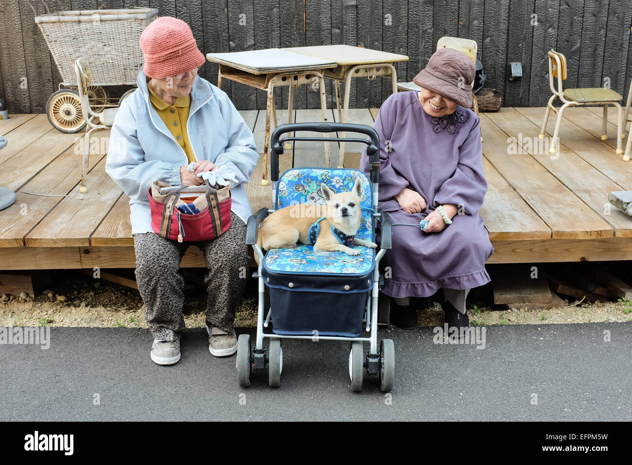 Due donne giapponesi e un piccolo cane. Foto Stock