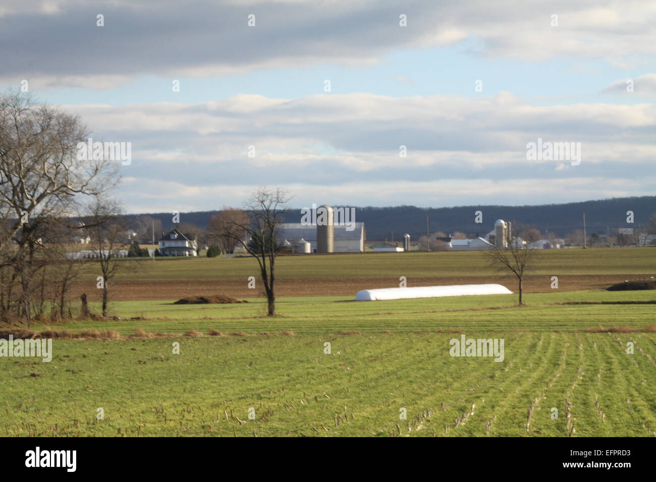 Edifici agricoli e Silos su una grande distesa di terreni agricoli. Foto Stock