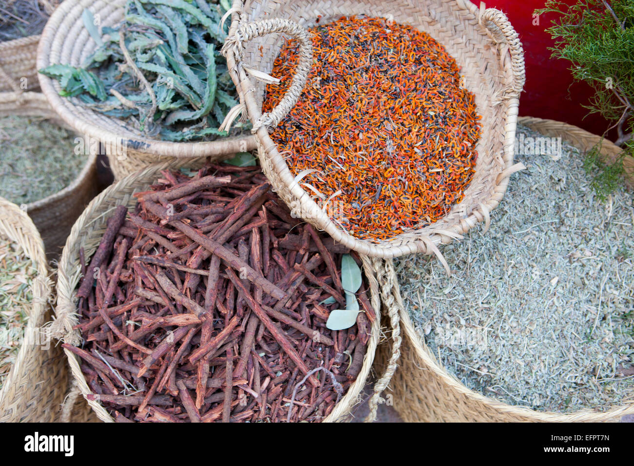 Close up di cestelli di tisane alle erbe nel mercato, Essaouira, Marocco Foto Stock