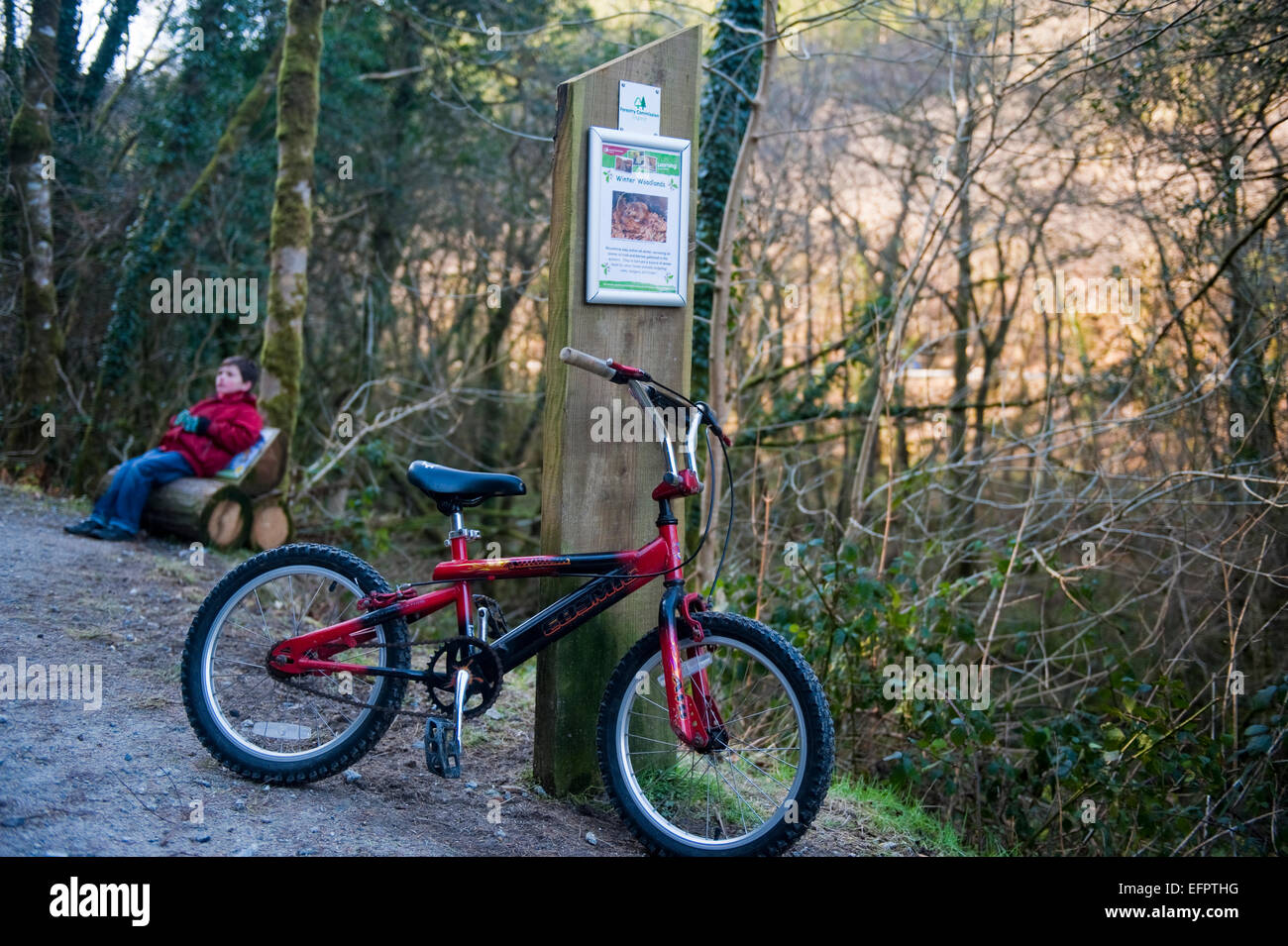 Il bambino si appoggia con la bici in boschi Cardinham vicino a Bodmin, North Cornwall. Foto Stock