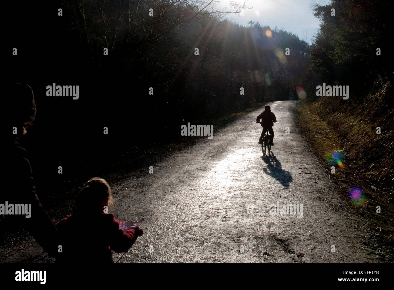 Bambini Escursioni in bicicletta nei boschi Cardinham frequentata da escursionisti, ciclisti ed escursionisti di cane vicino a Bodmin, North Cornwall. Foto Stock