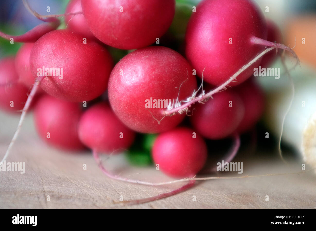 Close up ravanelli, il rafano è una radice commestibili ortaggi della famiglia Brassicaceae. Foto Stock