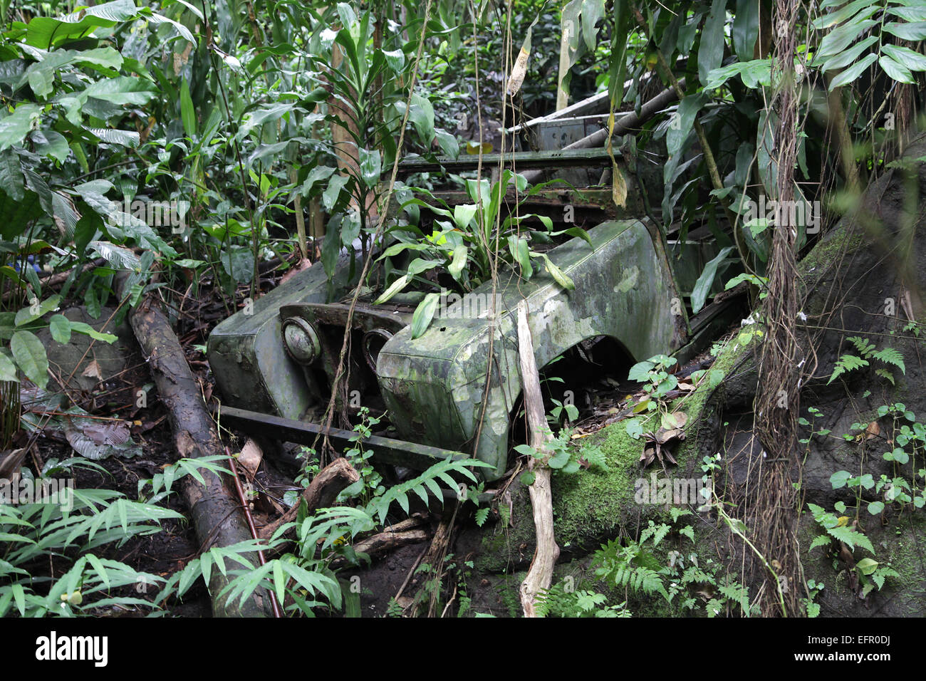 Land Rover guasto nel Darién Gap.Border che attraversa Panama Colombia.Near Pirre ranger stazione Foto Stock