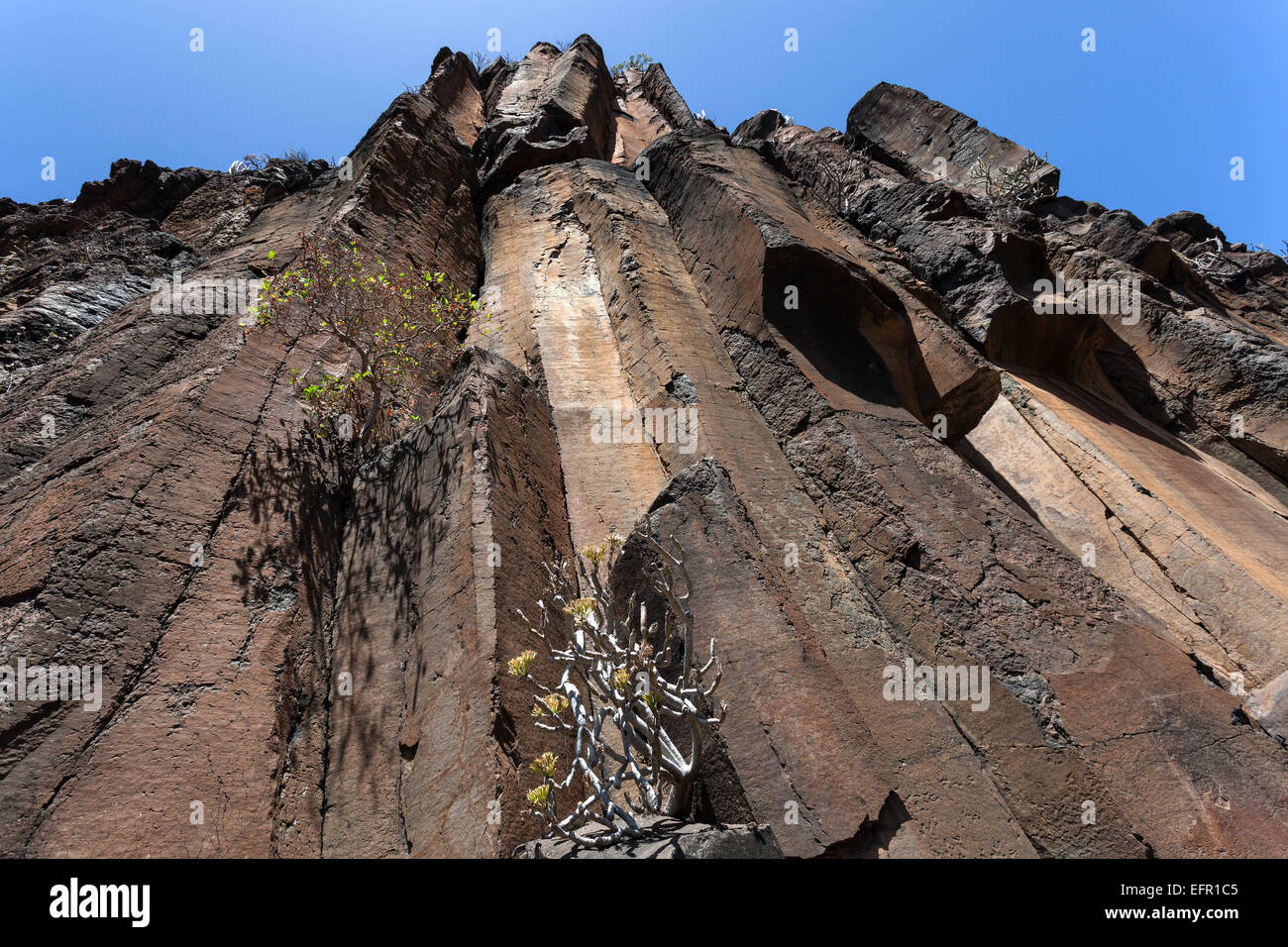 Colonne basaltiche, lava, Barranco de Arure, Valle Gran Rey, La Gomera, isole Canarie, Spagna Foto Stock