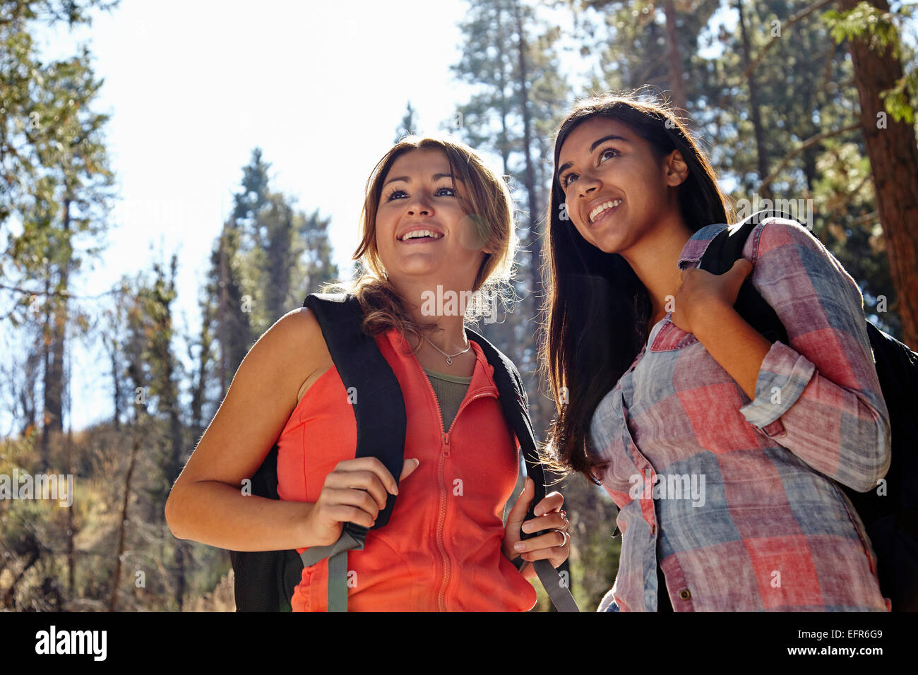 Due giovani femmine adulte trekking nella foresta, Los Angeles, California, Stati Uniti d'America Foto Stock