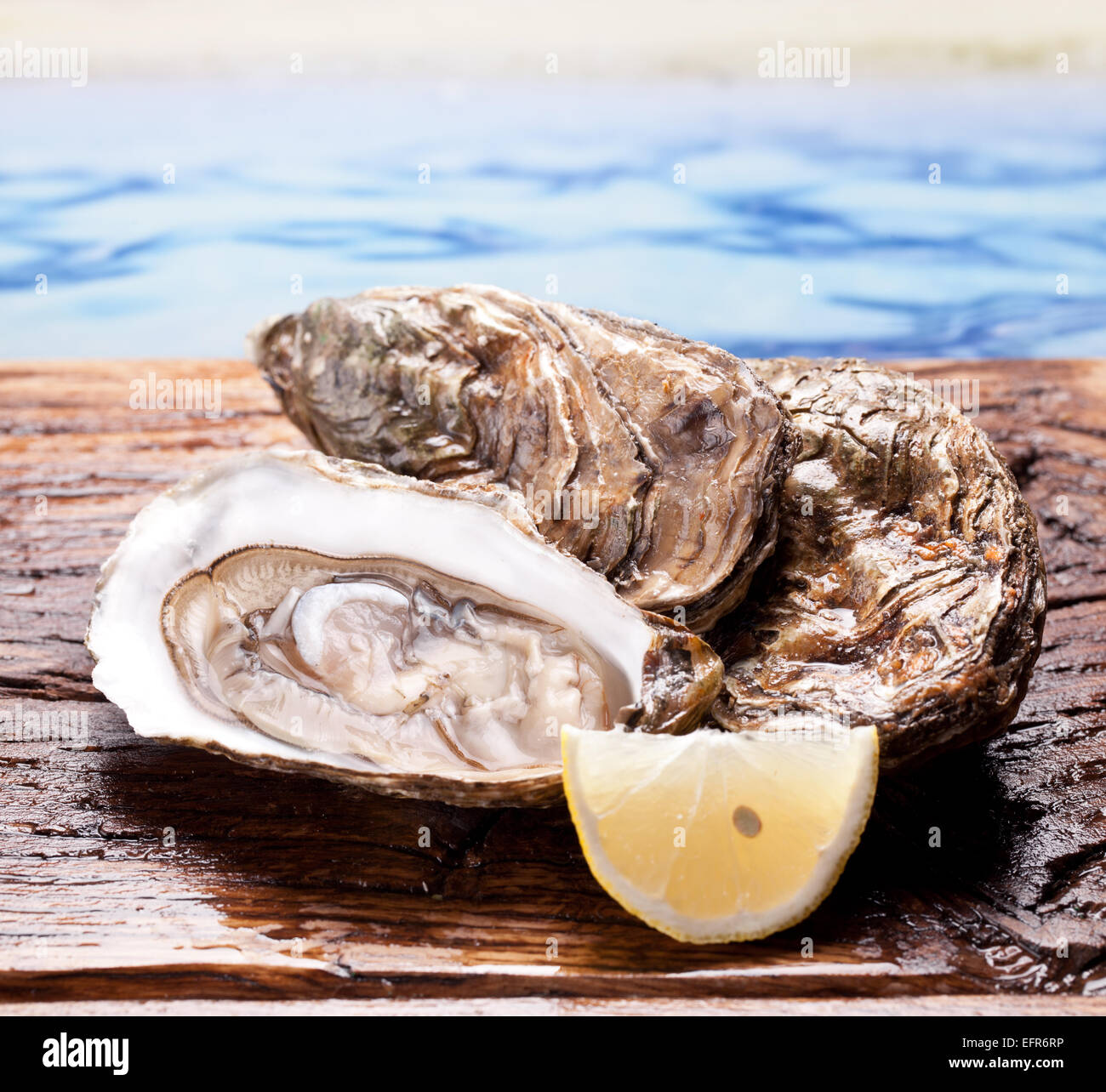 Materie oyster e limone isolata su uno sfondo di legno. Foto Stock