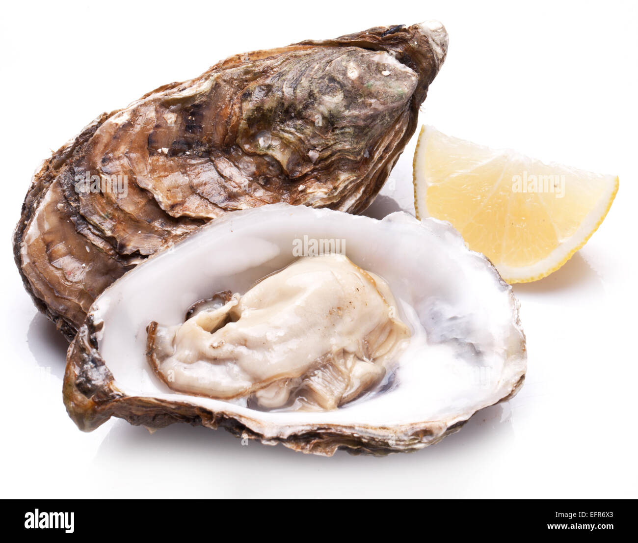 Materie oyster e limone isolata su uno sfondo bianco. Foto Stock