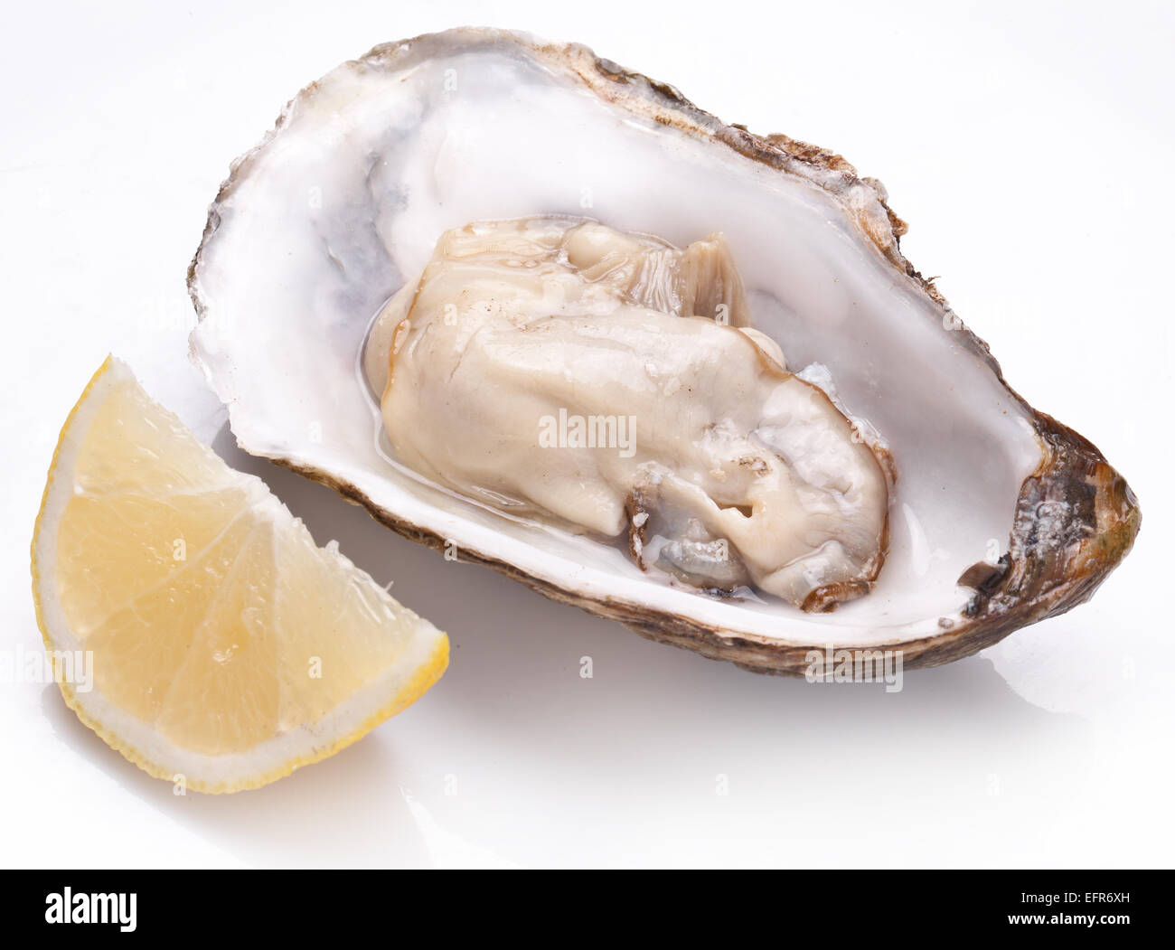 Materie oyster e limone isolata su uno sfondo bianco. Foto Stock