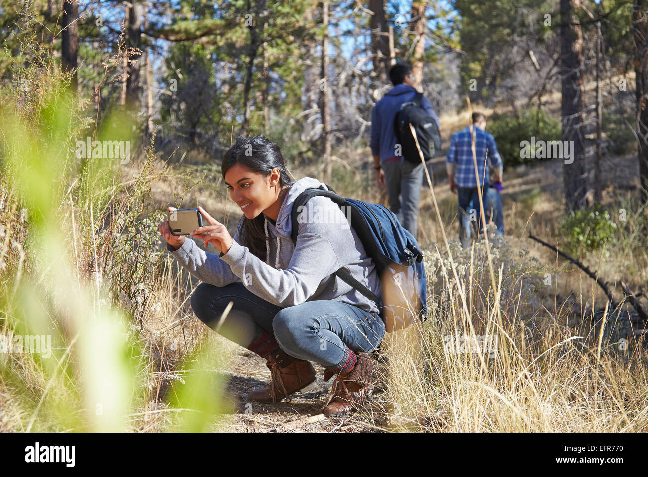 Giovani femmine escursionista fotografare sullo smartphone in foresta, Los Angeles, California, Stati Uniti d'America Foto Stock