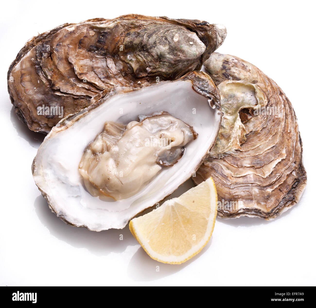 Materie oyster e limone isolata su uno sfondo bianco. Foto Stock