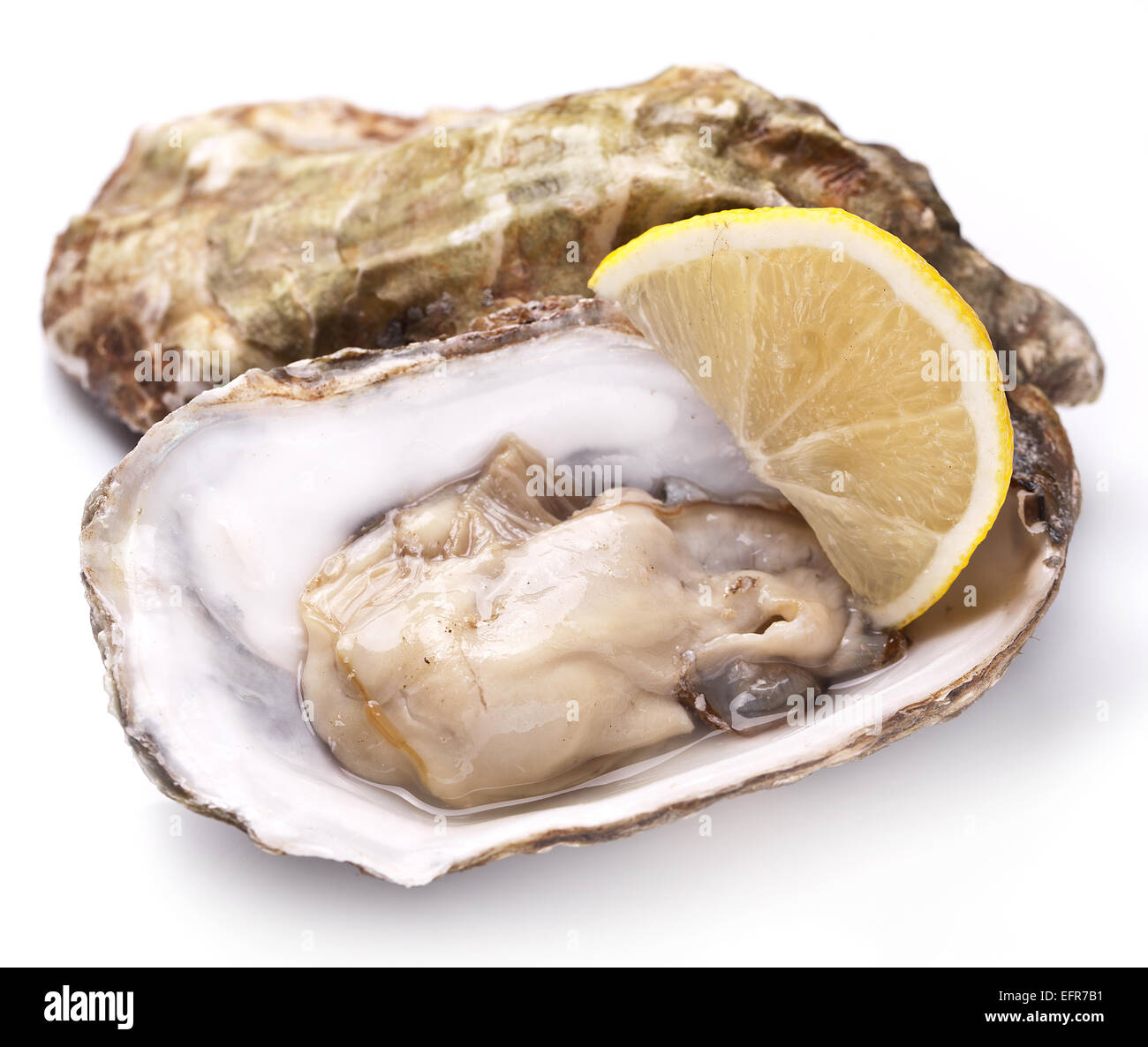 Materie oyster e limone isolata su uno sfondo bianco. Foto Stock