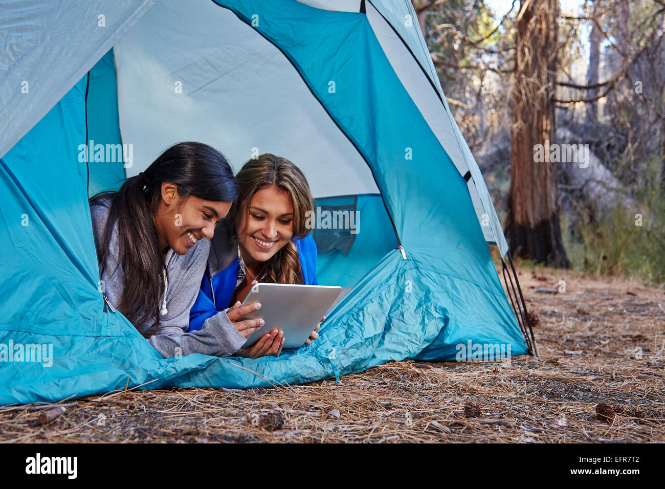 Due giovani donne che giace nella tenda guardando digitale compressa nella foresta, Los Angeles, California, Stati Uniti d'America Foto Stock
