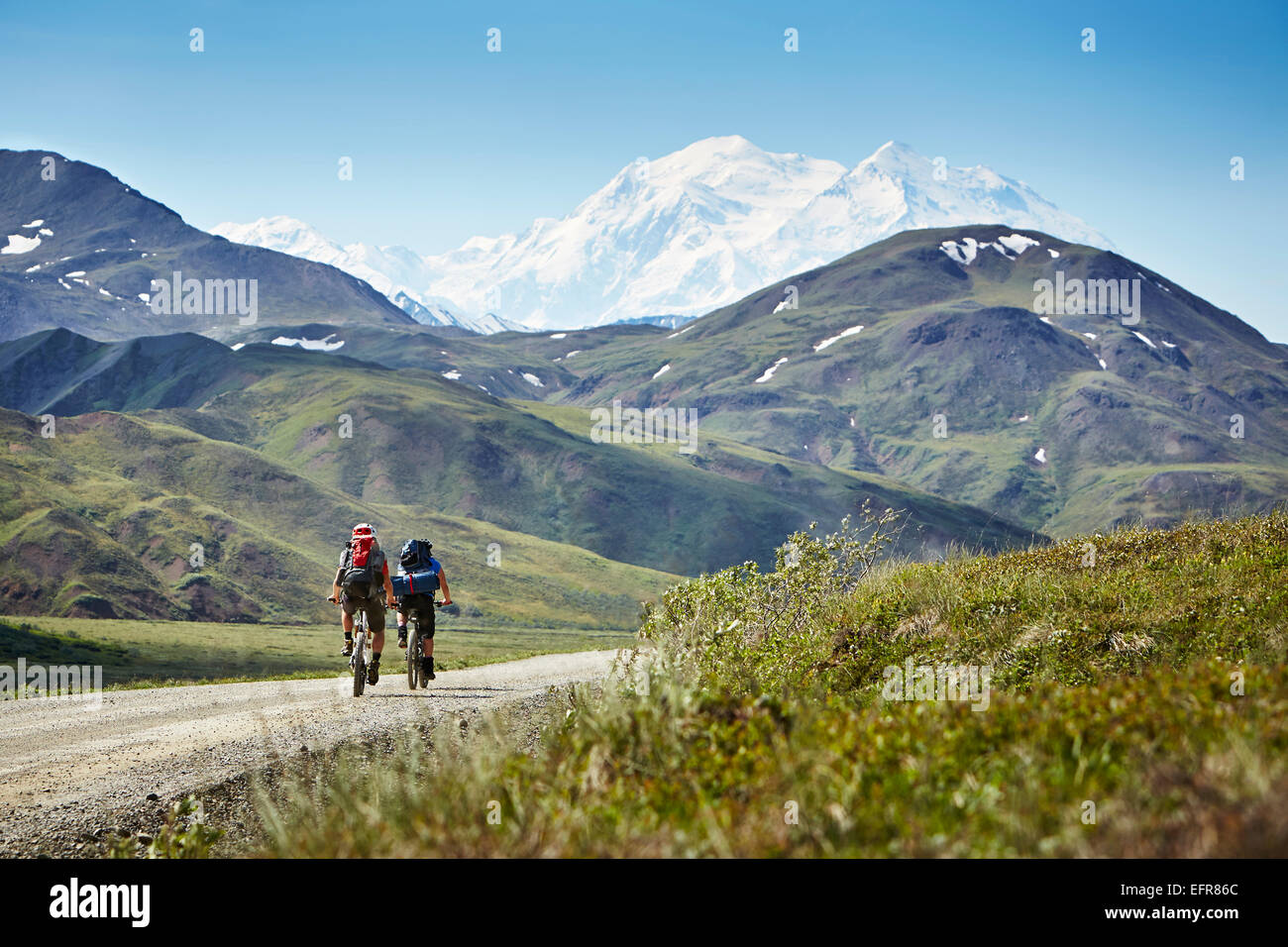 Metà adulto giovane ciclismo su strada rurale, Monte McKinley, Parco Nazionale di Denali, Alaska, STATI UNITI D'AMERICA Foto Stock