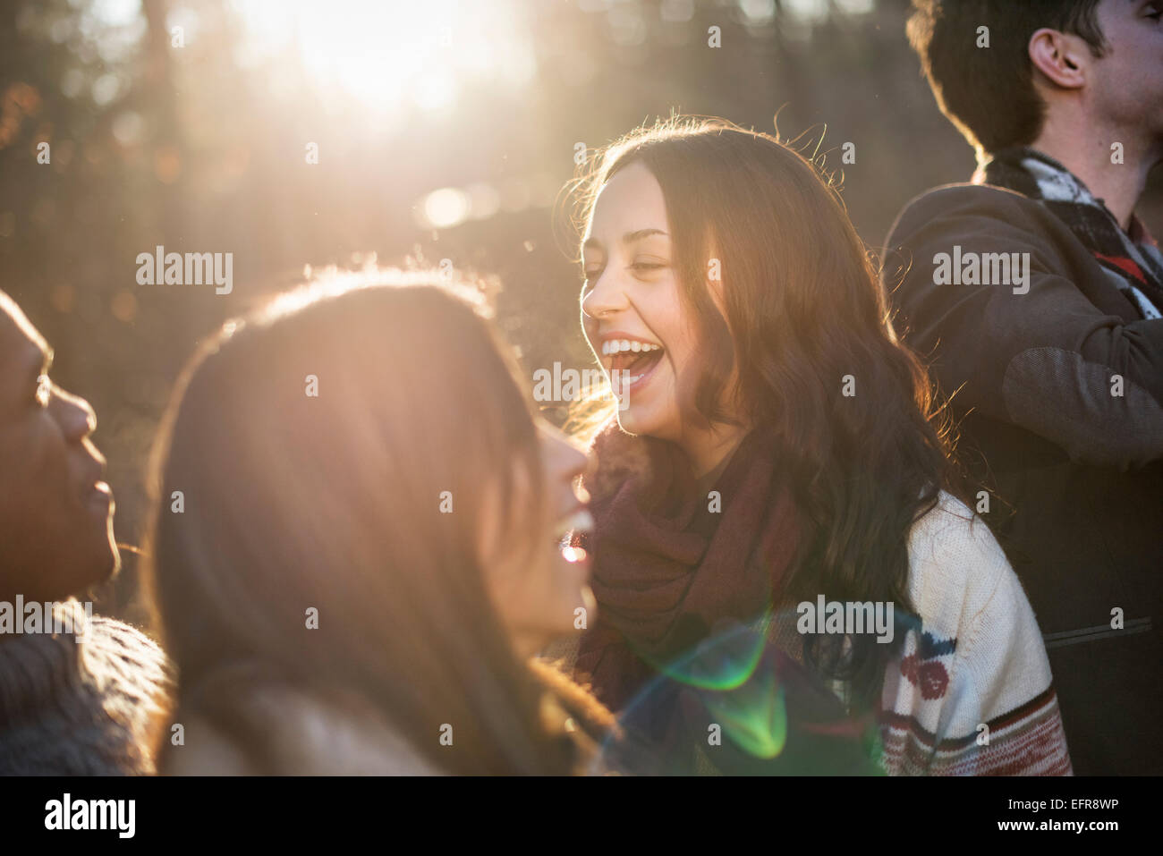 Gruppo sorridente di amici in piedi in un soleggiato Bosco in autunno. Foto Stock