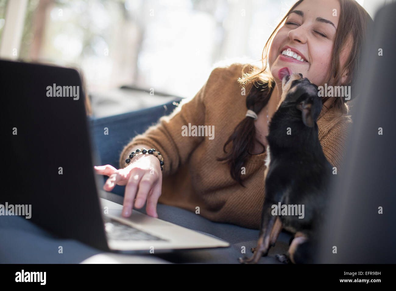 Donna sdraiata su un divano guardando il suo laptop, sorridente. Un piccolo cane leccare il suo volto. Foto Stock