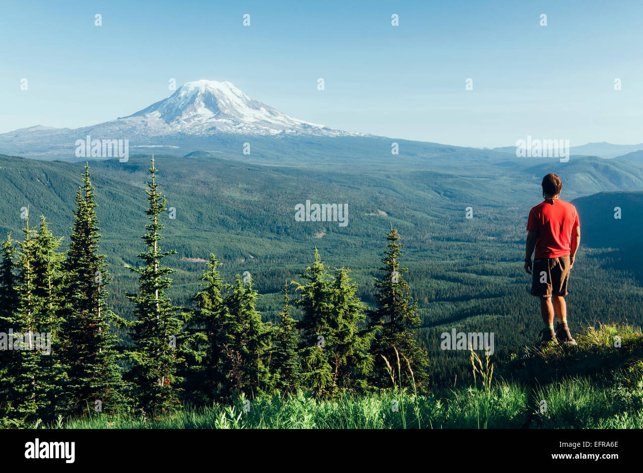 Escursionista maschio sulla cima di una montagna, guardando il panorama verso monte Cofano Foto Stock