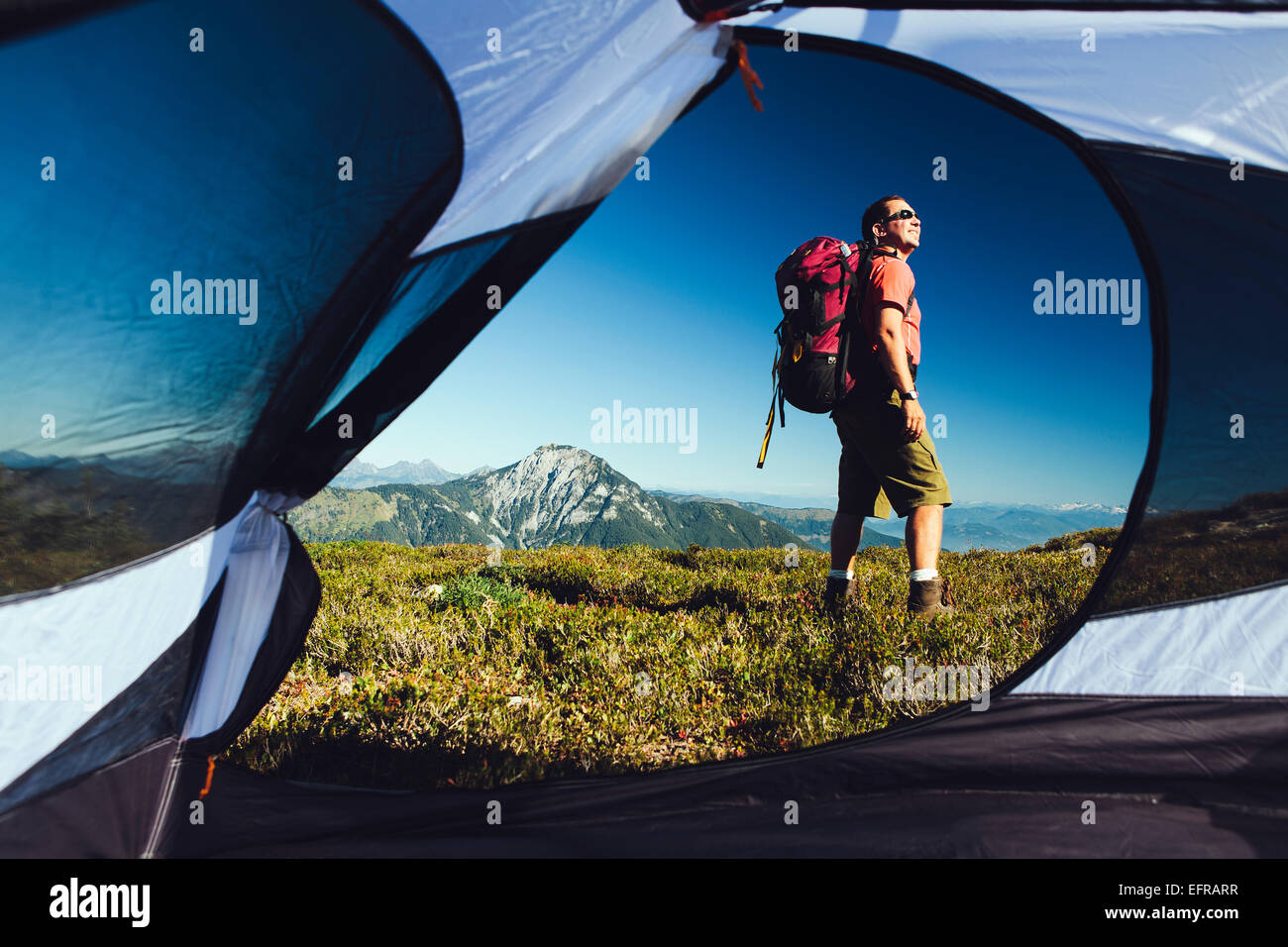 Vista dall'interno di una tenda da campeggio dell'uomo escursionismo attraverso la foresta nazionale di terra con il Monte Baker nella distanza. Foto Stock