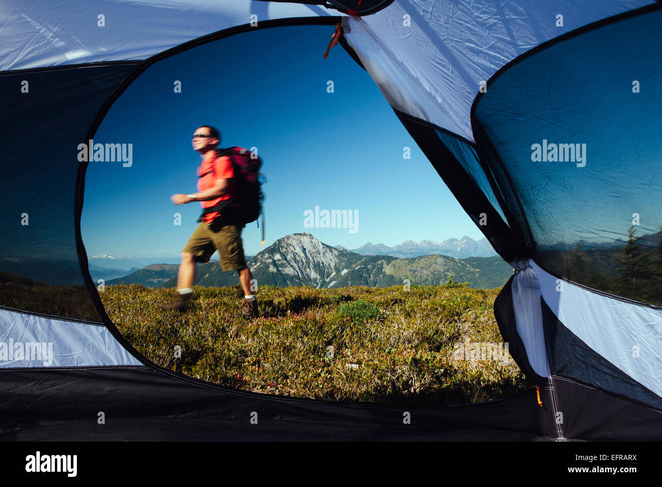 Vista dall'interno di una tenda da campeggio dell'uomo escursionismo attraverso la foresta nazionale di terra con il Monte Baker nella distanza. Foto Stock