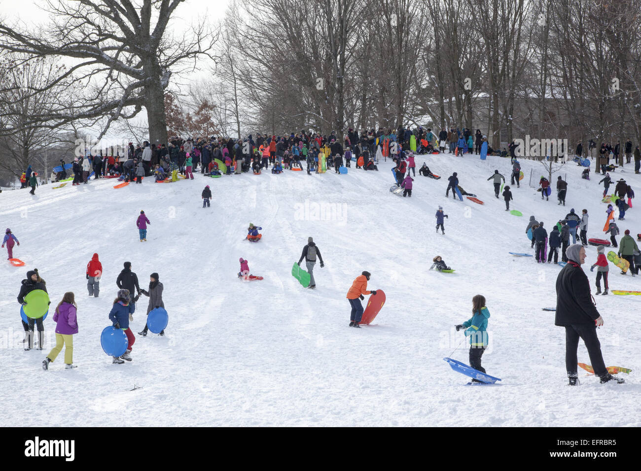Famiglie slittino e persone appena fuori a godersi Prospect Park dopo una nevicata a Park Slope, Brooklyn, New York. Foto Stock