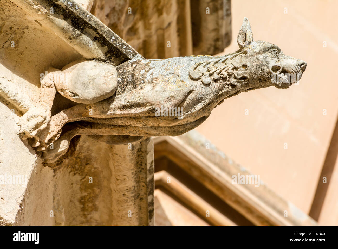 Dettaglio di una pietra gotico gargoyle da una casa di Mdina, Malta Foto Stock