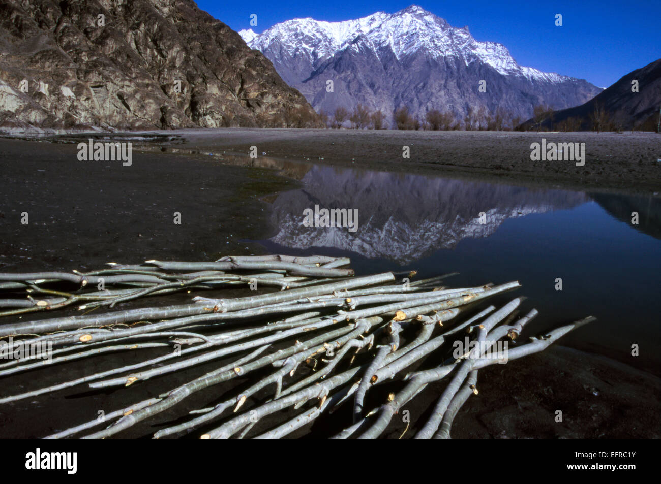 Driftwood lungo le rive del segmento del fiume Indo in Skardu, con la riflessione di montagne Foto Stock