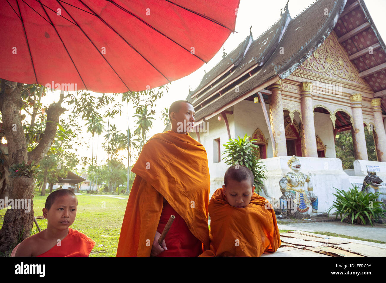 I giovani monaci buddisti, Luang Prabang, Laos. Foto Stock