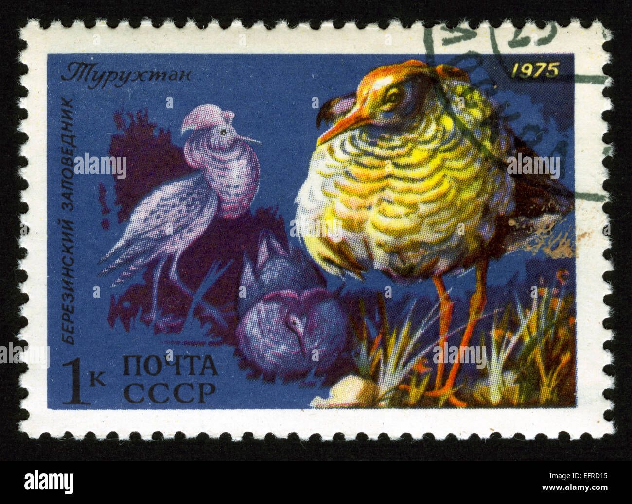 Urss,post mark,timbro,animali,Animali illustrazioni,fauna,uccelli, uccelli,ruff,1975 Foto Stock