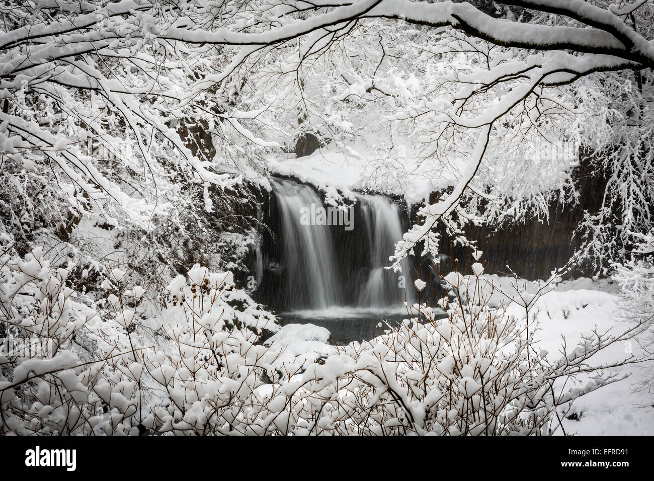 Cascata Kaneyama ricoperta di neve, Yamanashi, Giappone Foto Stock
