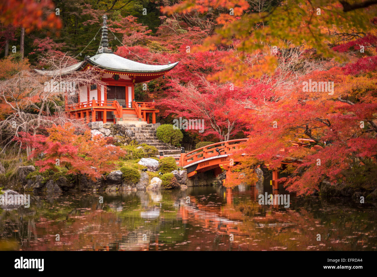 Daigoji tempio di alberi di acero, momiji stagione, Kyoto, Giappone Foto Stock