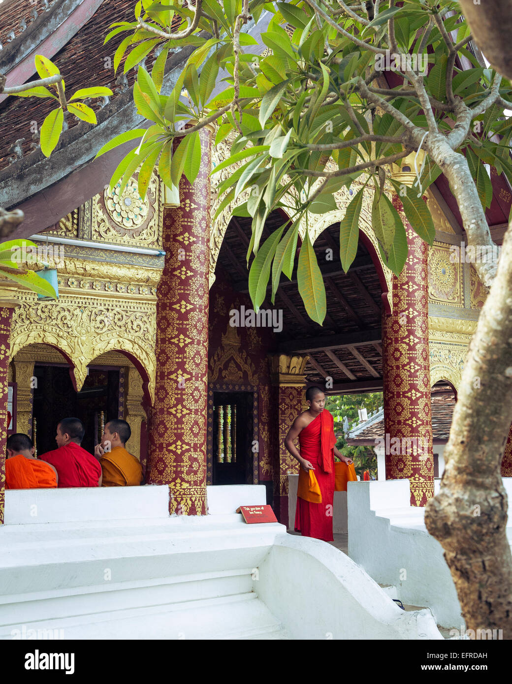 I giovani monaci buddisti a un tempio, Luang Prabang, Laos. Foto Stock