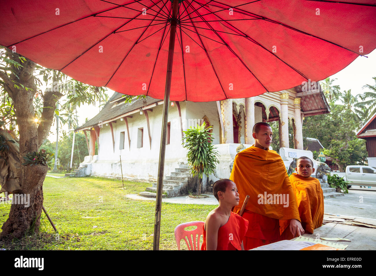 I giovani monaci buddisti, Luang Prabang, Laos. Foto Stock