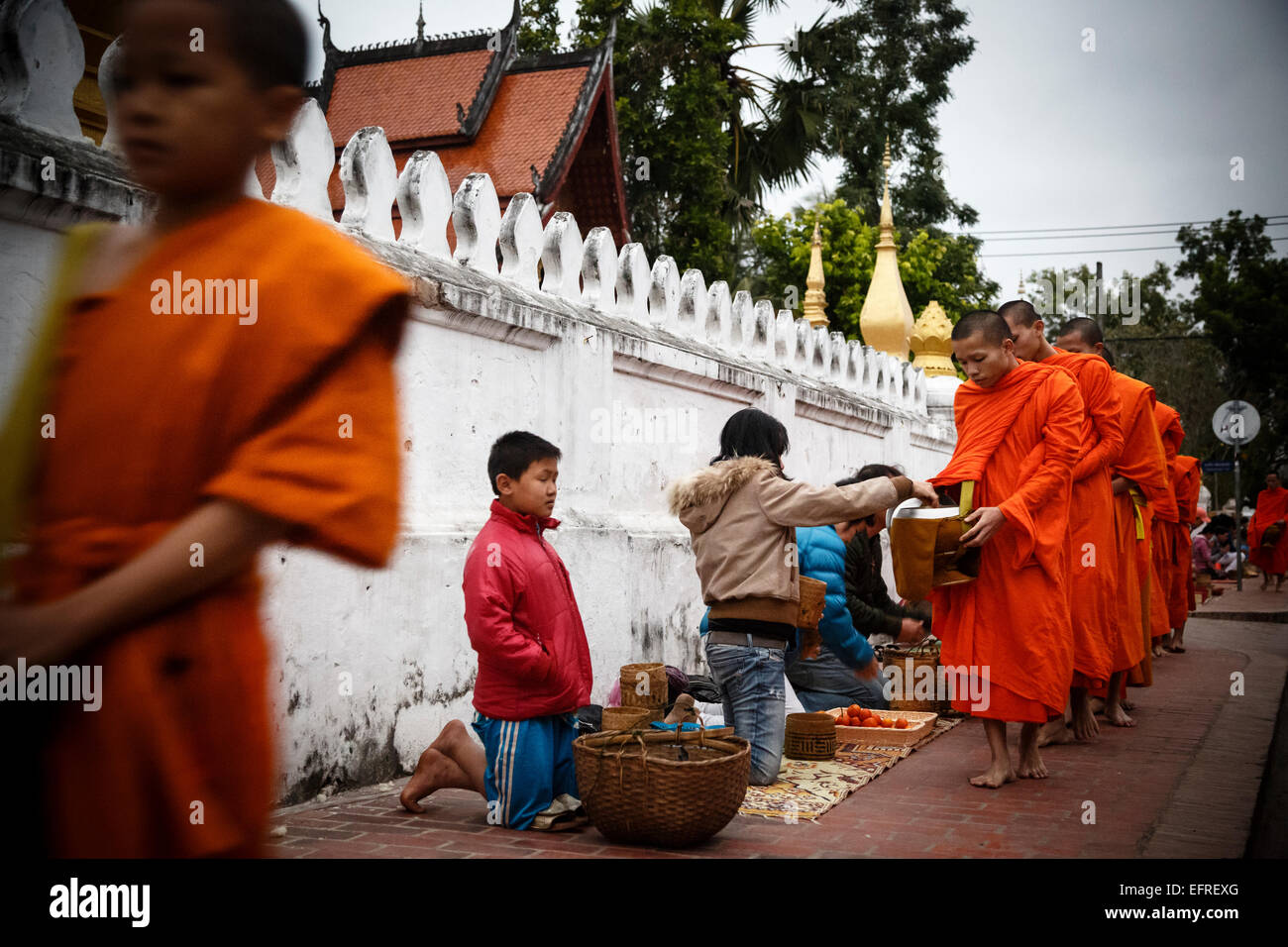 I monaci raccogliendo elemosine al sunrise, Luang Prabang, Laos. Foto Stock