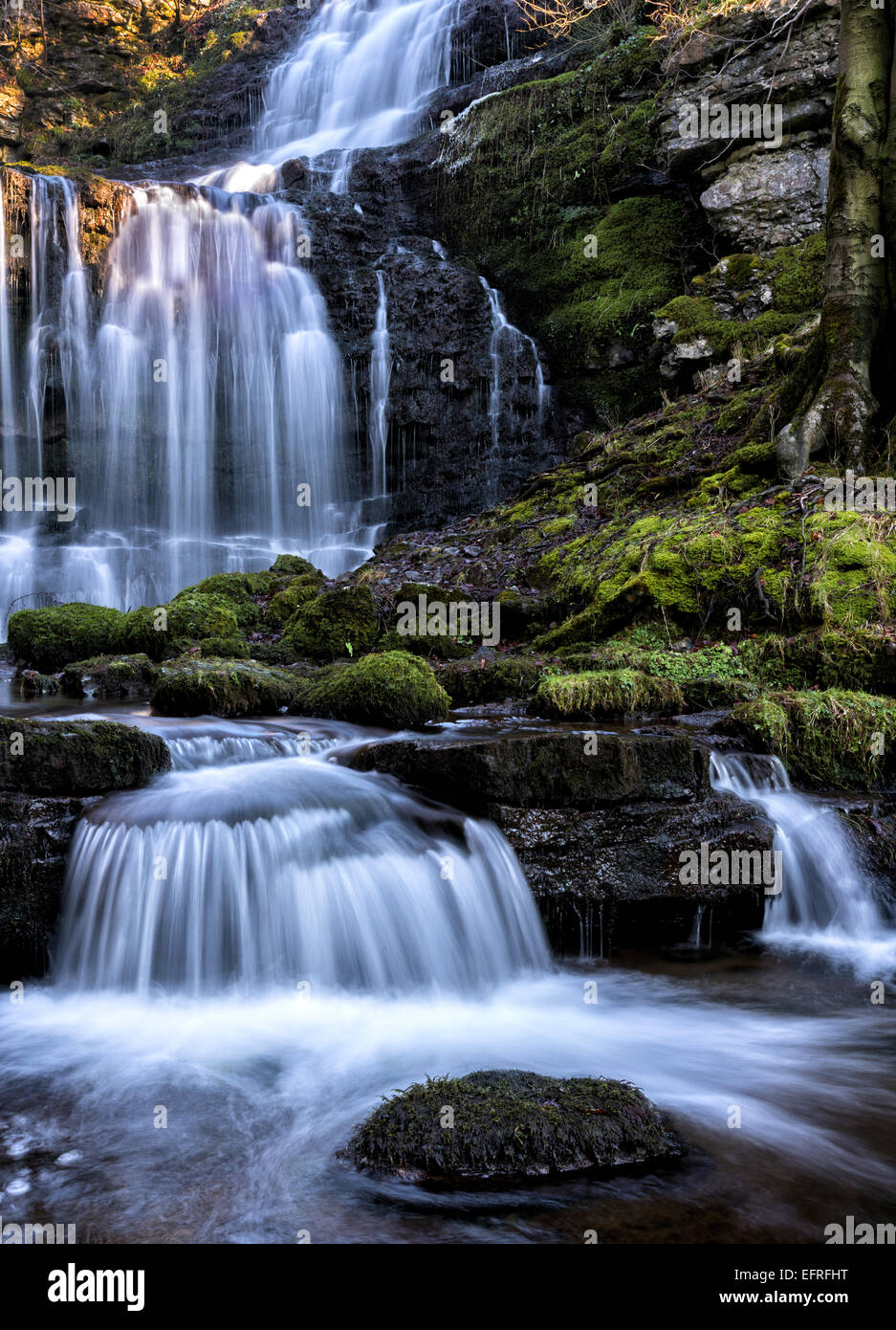 Forza Scaleber cascata, Settle, Yorkshire Dales, England, Regno Unito Foto Stock