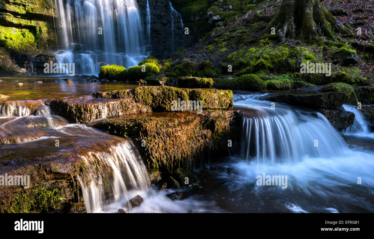 Forza Scaleber cascata, Settle, Yorkshire Dales, England, Regno Unito Foto Stock