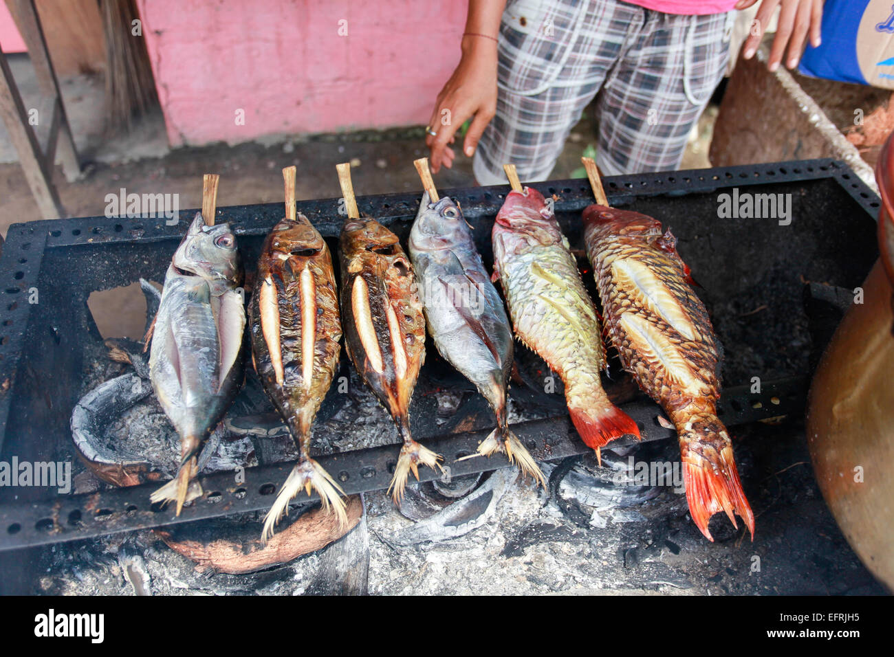 Grigliate di pesce a Bali, in Indonesia Foto Stock