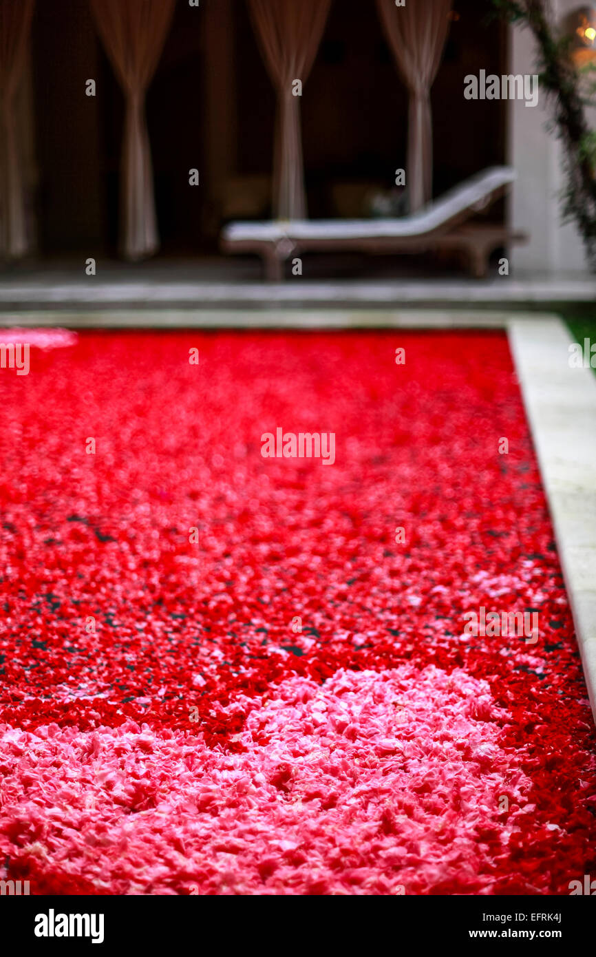 Bagno con petali di fiori Foto Stock
