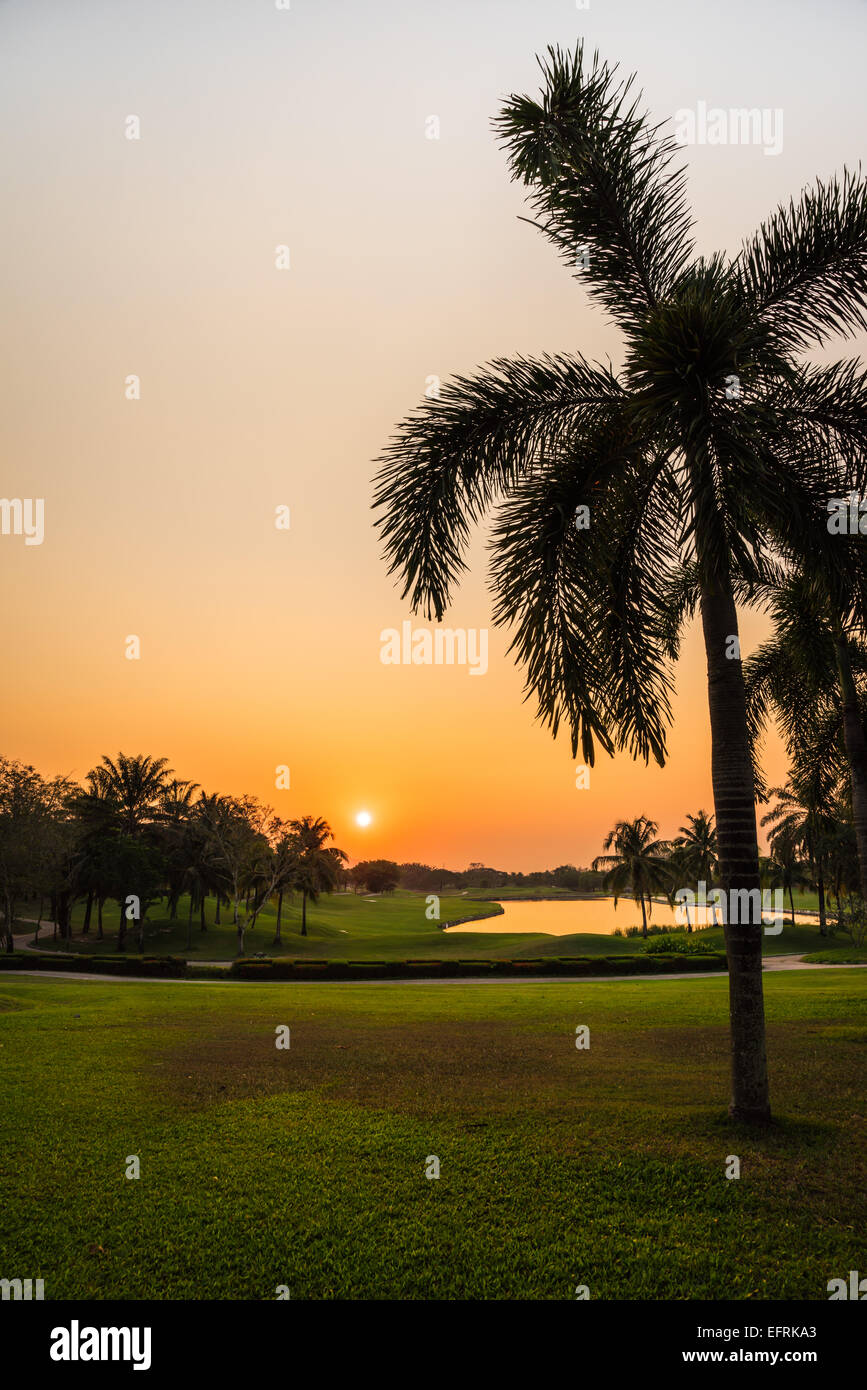 Splendido campo da golf durante il tramonto per lo sfondo Foto Stock