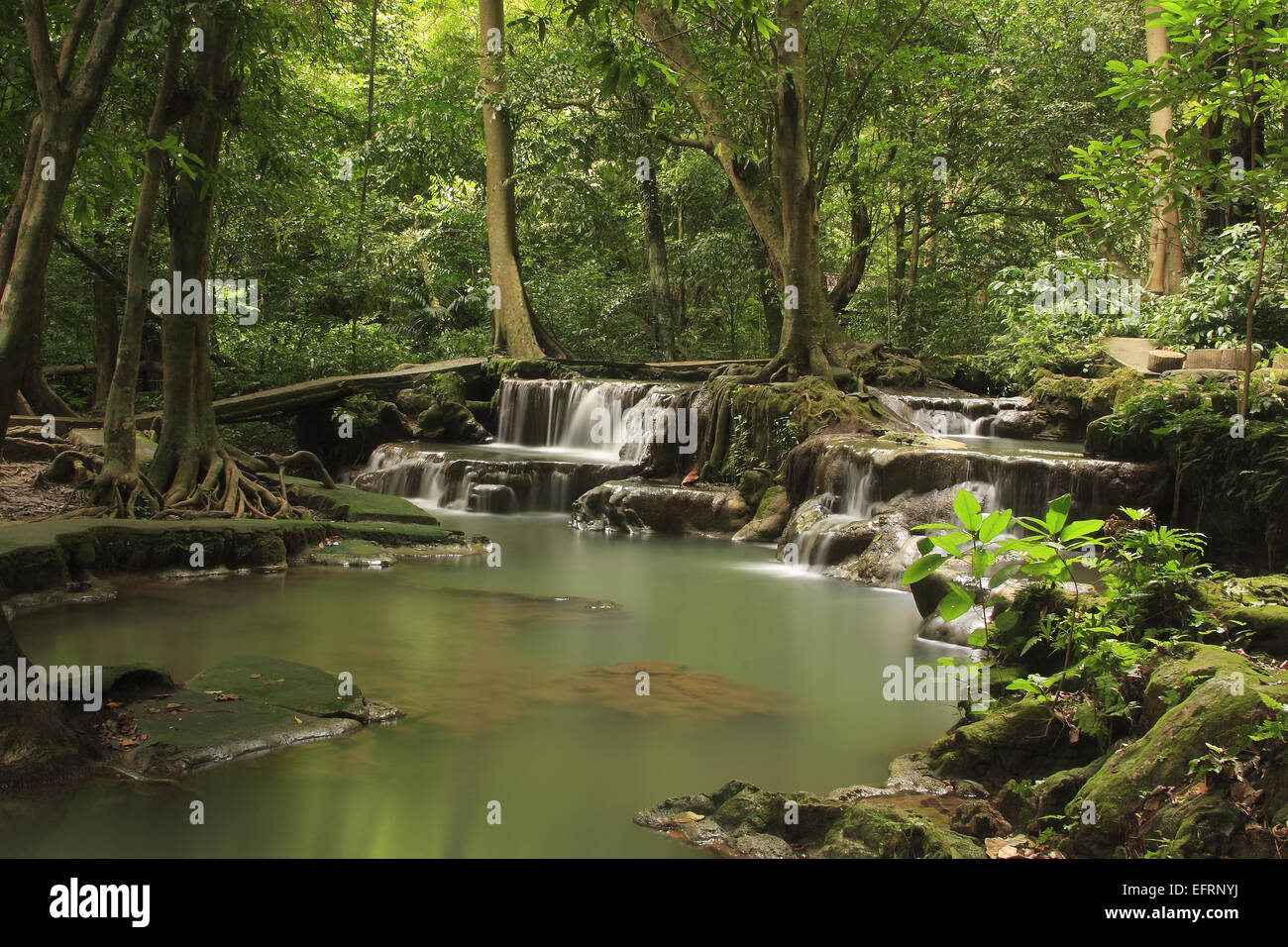 Le cascate di Thanbok Khoranee national park, Krabi, Thailandia Foto Stock