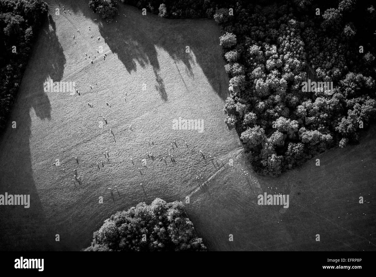 Vista aerea del sole e ombre su campi rurali, Oxfordshire, Inghilterra, in bianco e nero Foto Stock