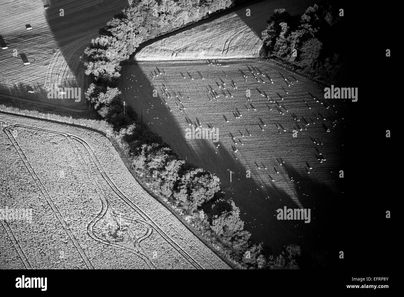 Vista aerea del sole e ombre su campi rurali, Oxfordshire, Inghilterra Foto Stock