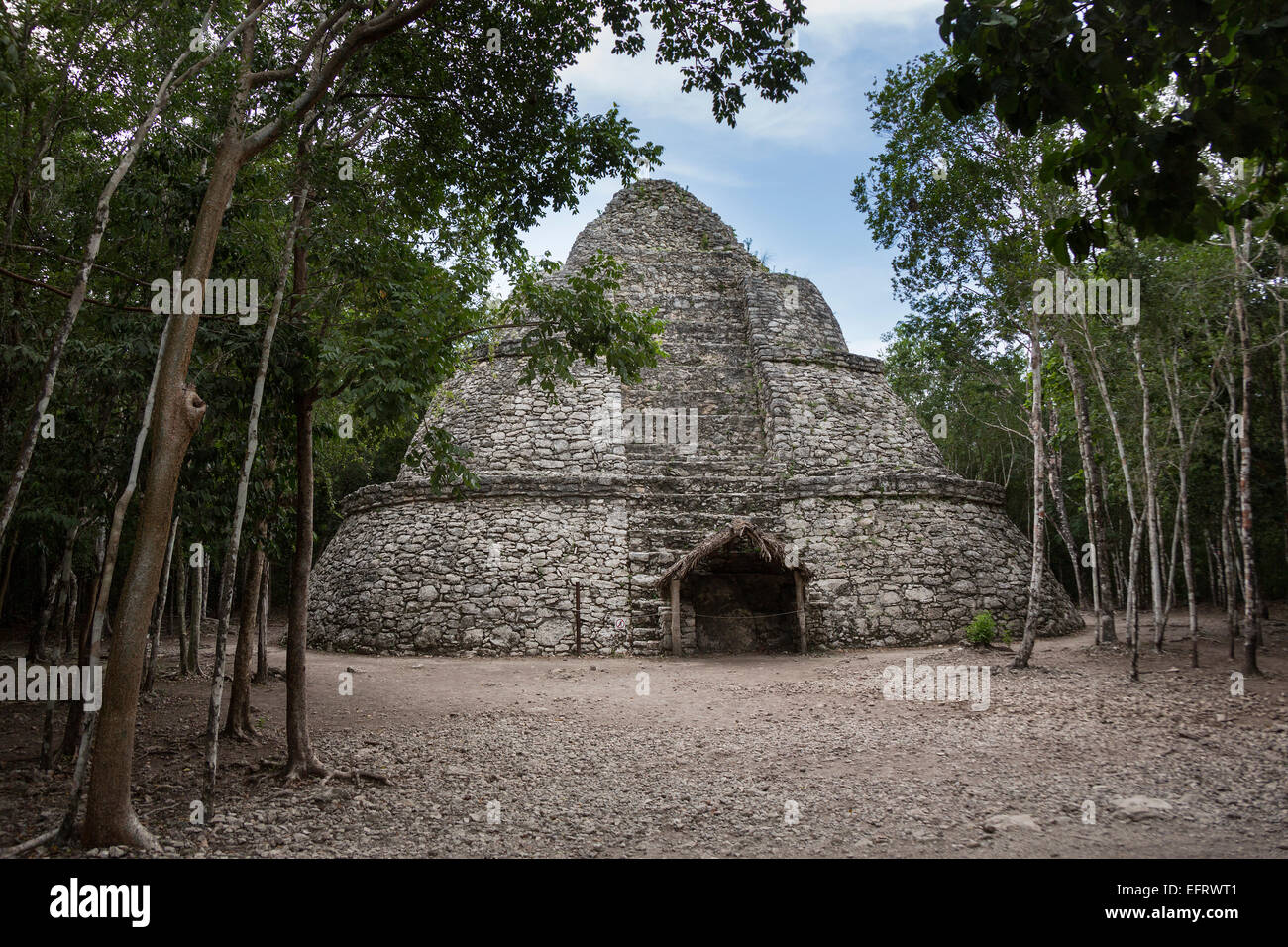 Coba rovine pyrooramid civiltà Maya di Quintana Roo, Messico america del nord la religione Foto Stock