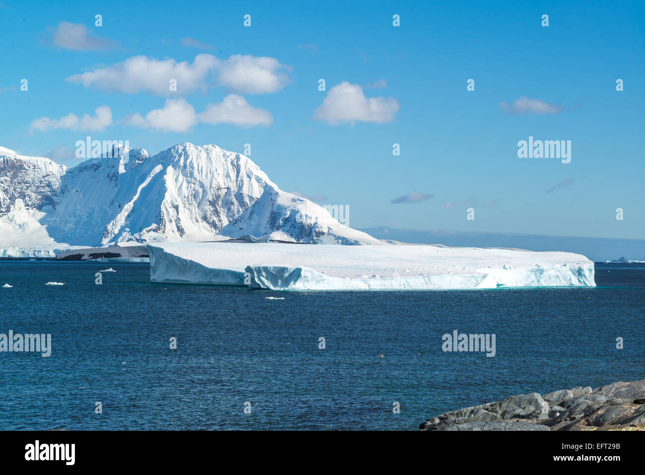 Errera Channel, de Cuverville Island, Antartide Foto Stock
