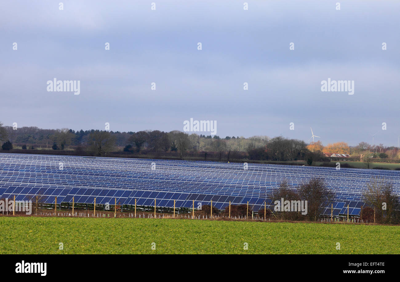 Pannelli solari a West Raynham Fattoria solare in Norfolk, Inghilterra, Regno Unito. Foto Stock