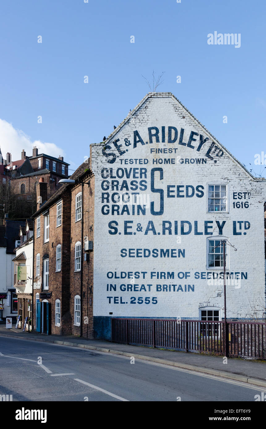 Vecchio annuncio per S E e un seme di Ridley mercanti dipinta sulla fiancata di un edificio di Bridgnorth, Shropshire Foto Stock