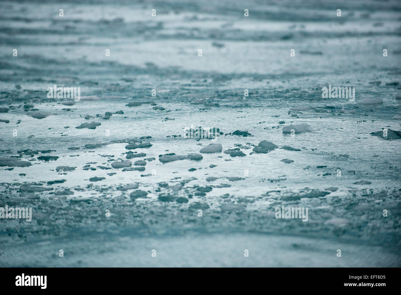 Il ghiaccio del ghiacciaio a Floating Point Wild sulla costa nord di Elephant Island, a sud le isole Shetland di Antartide Foto Stock