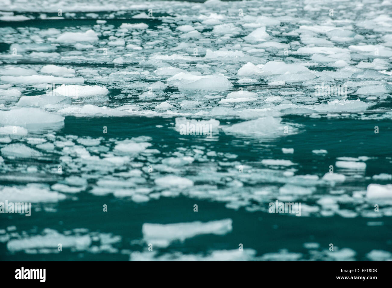 Il ghiaccio del ghiacciaio a Floating Point Wild sulla costa nord di Elephant Island, a sud le isole Shetland di Antartide Foto Stock
