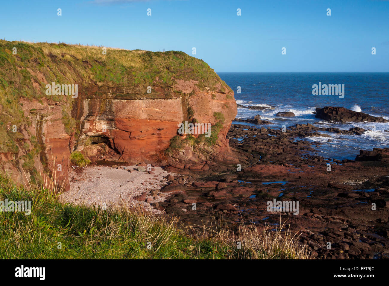 Ripida parete di roccia e appartata spiaggia di roccia a Seaton scogliere - Arbroath, Scozia Foto Stock