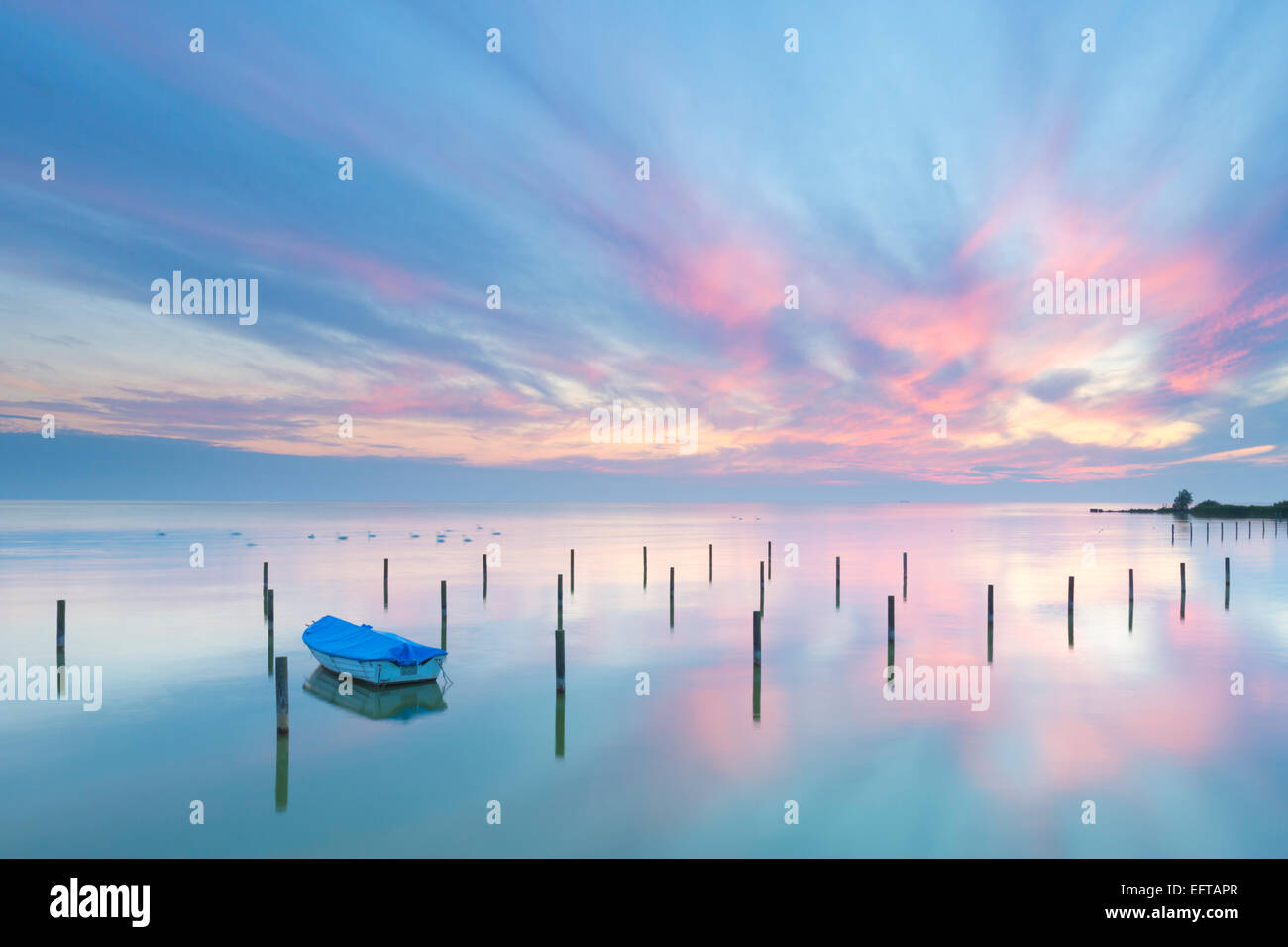 Una bella calma e tranquilla al tramonto con blu brillante e di colore rosa, una piccola barca sulle sponde di un lago e spettacolare sky in Olanda Foto Stock Una bella calma e tranquilla al tramonto con blu brillante e di colore rosa, una piccola barca sulle sponde di un lago e spettacolare sky in Olanda Foto Stock